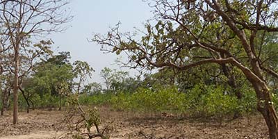 Image 02